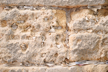 Slips of paper containing written prayers placing  in the cracks and crevices of the Wailing Wall or Western Wall in old part of Jerusalem city