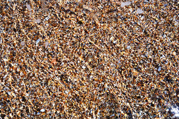 Small multicoloured stones under a layer of water