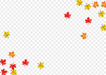 Autumnal Leaves Background Transparent Vector. Foliage Ground Template. Ocher Decor Leaf. Down Floral Card.