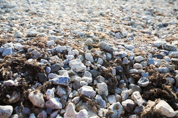 Pebbles on the Beach