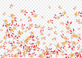 Green Berries Background Transparent Vector. Foliage Cartoon Template. Yellow Herb Tree. Pattern Set. Leaf Realistic.