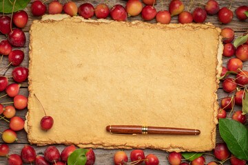 blank, handmade paper with rough edges and a stylish pen framed by red crab apples - fall holidays theme