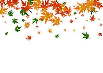 Brown Plant Background White Vector. Leaves Realistic Frame. Gold Decor. Paper Card. Ocher Foliage Decoration.