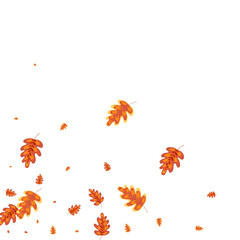Obraz premium Golden Acorn Background White Vector. Leaf October Texture. Gold Leaves. Dry Design. Orange Oak Image.