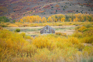 barn in autumn - Colorado Fall