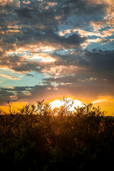 sunset over the field