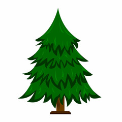 Fir tree on white background. Isolated vector illustration with spruce