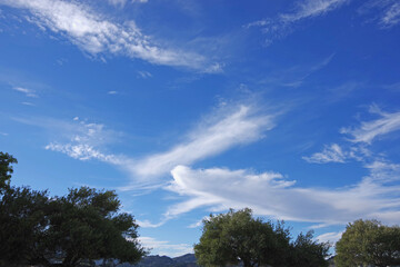 Obraz premium Blue evening sky with cloud formations above a forest mountain landscape