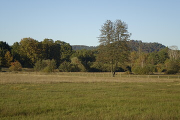 Autumn landscape with trees and meadows at dusk, Ludwigswinkel, Fischbach, Rhineland Palatinate, Germany