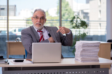 Aged businessman employee working in the office