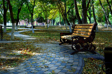 Alley with a bench in an autumn park