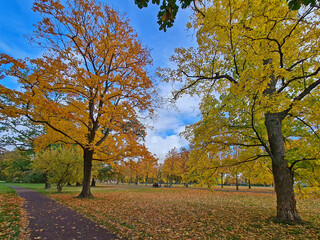 Herbst im Parks in MAgdeburg