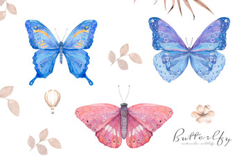 Watercolor colorful natural set with butterfly. Blue and Pink butterflies isolated illustration on white background