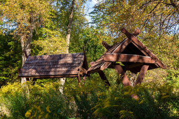 Naklejka premium Jesień w Puszczy Knyszyńskiej, Podlasie, Polska