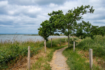 Auf dem Konikpfad in der Geltinger Birk