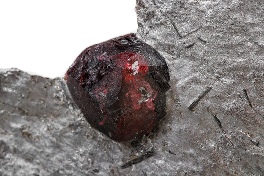Macro mineral stone garnet  in the rock on a white background
