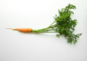 mini cenouras orgânicas