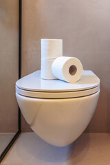 Toilet paper rolls, hygiene tissue napkins on a toilet bowl lid. Modern bathroom interior detail