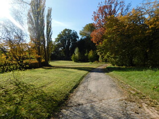 nature is a free mind cleaner