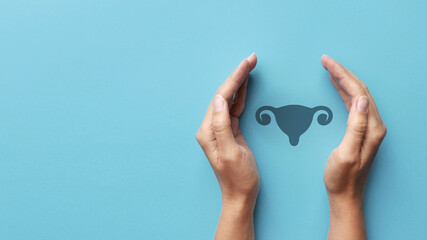 The silhouette of the organs of the reproductive system in the hands of a person. A symbol of the diagnosis and prevention of diseases of the female genital organs
