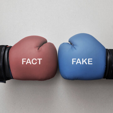 Two boxing gloves with the words: fact and fake opposite each other. A symbol of the conflict between truth and falsehood