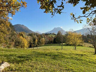 Fototapeta premium autumn landscape with trees