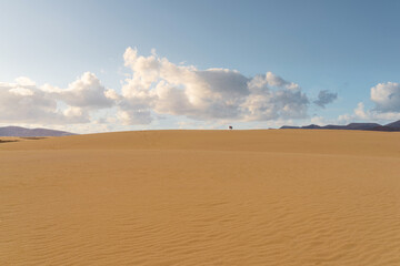 people walking on large sand dune in desert