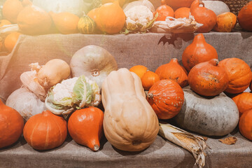 Fresh pumpkins at farmers market in countryside. Harvest, halloween and thanksgiving symbol.