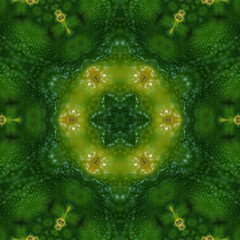 patterns and hexagonal kaleidoscopic designs inspired by a new season mandarin with textured skin changing colour from green to yellow