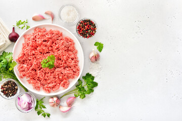 Raw beef minced meat