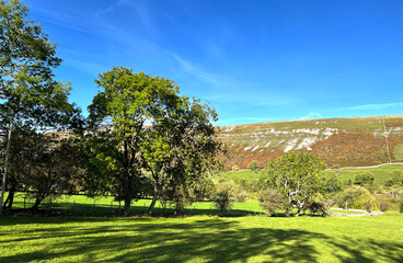 Yorkshire Dales landscape near Litton, with fields, old trees, and distant hills in Litton, Skipton, UK