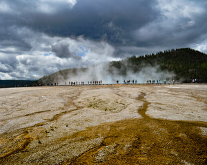 geyser in park national park