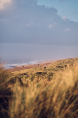 Wide sand beach at the west Coast of Denmark in autumn