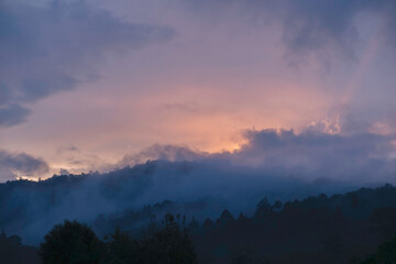 mist covered rainforest at sunrise