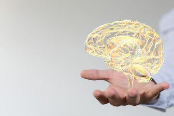 3d rendered medically accurate illustration brain
