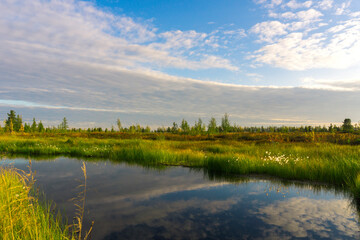 Autumn landscape, extreme north, Yamalo-Nenets Autonomous Okrug