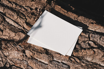 White cards in the autumn forest, near leaves and grass