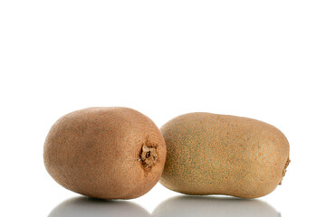 Two juicy organic kiwi fruits, close-up, isolated on white.