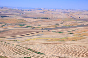 Obraz premium Typical rural landscape of Puglia in southern Italy: hills with harvested wheat fields.
