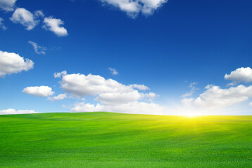 Green field and sun.