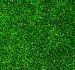 Obraz premium Green grass texture background.