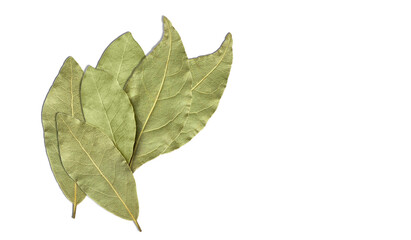 Obraz premium Bay leaves isolated on white background. Seasoning.