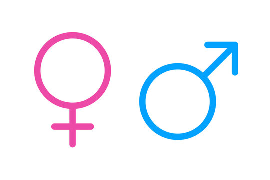 Male and female pink blue gender symbols editable stroke isolated on white background. Vector
