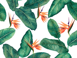Watercolor painting bird of paradise with green leaves seamless pattern background.Watercolor hand drawn illustration tropical exotic leaf prints for wallpaper,textile Hawaii aloha jungle pattern. © nongnuch_l