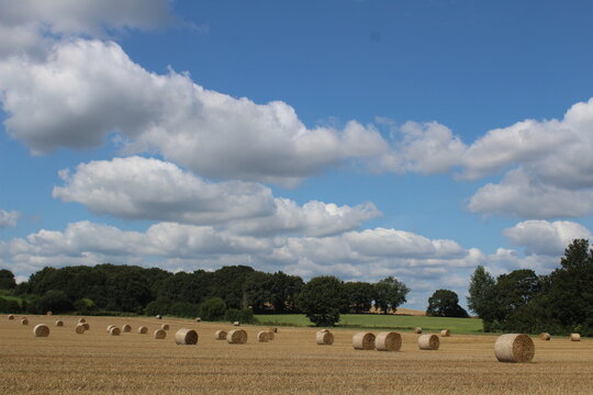 A field on a summer's day with hay bales in a field waiting to be harvested with blue sky and clouds in background, near Wakefield West Yorkshire in the UK