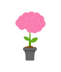Brain in flower pot. concept education and Intellect