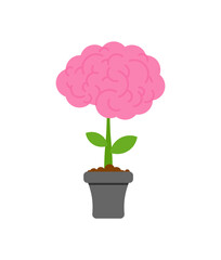 Brain in flower pot. concept education and Intellect