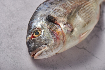 Fresh fish dorado or gilt-head on white background