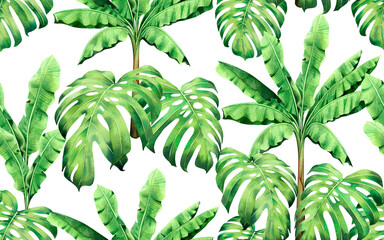 Watercolor painting green tree banana,monstera leaves seamless pattern background.Watercolor hand drawn illustration tropical exotic leaf prints for wallpaper,textile Hawaii aloha jungle pattern.