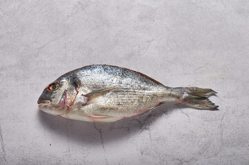 Fresh fish dorado or gilt-head on white background